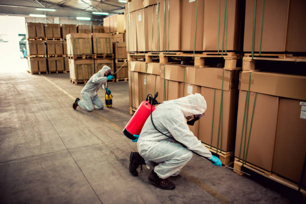 Best Pest Control Near Me in Lone Grove, OK