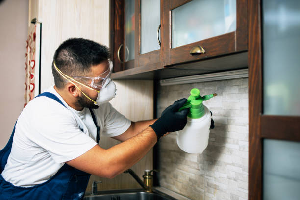 Best Commercial Pest Control Services  in Lone Grove, OK