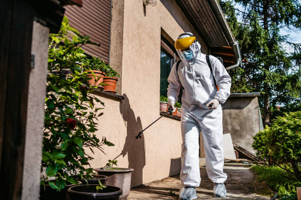 Best Exterminator Services  in Lone Grove, OK