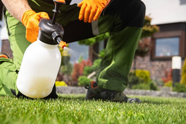 Best Flea Control Services  in Lone Grove, OK