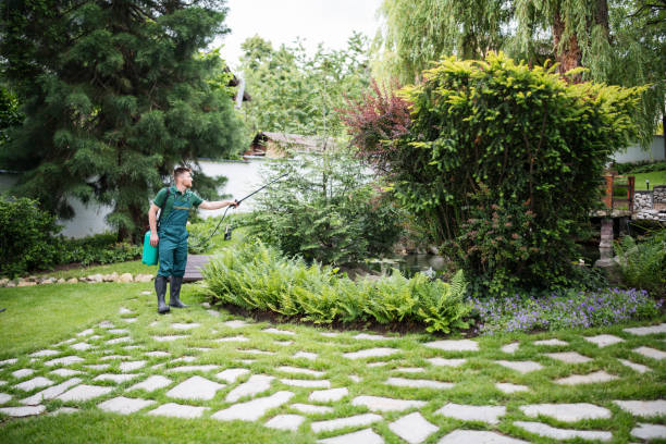 Best Wasp Removal Services  in Lone Grove, OK