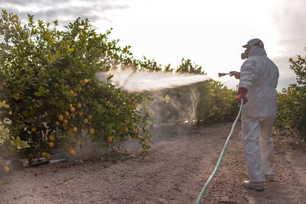 Best Best Pest Control Companies  in Lone Grove, OK