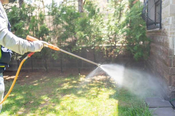 Best Best Pest Control Companies  in Lone Grove, OK