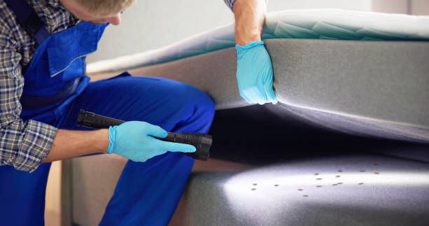 Best Bed Bug Extermination  in Lone Grove, OK
